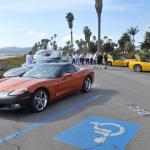 Cambria_0025 (November 03, 2011)